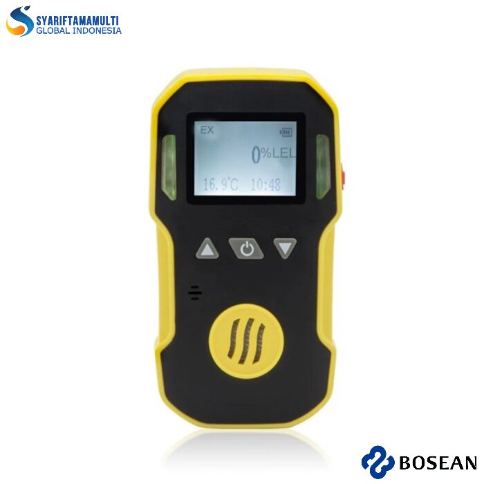 Bosean BH-90A Sulfur Dioxide (SO2) Gas Detector