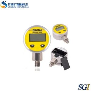 Digital Pressure Gauge 25Mpa