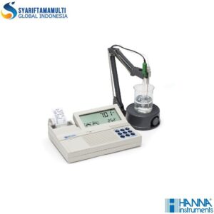 Hanna HI-122 Professional Benchtop pH/mV Meter